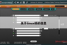 关于linux桥的信息