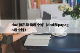 dod和趴趴狗哪个好（dod和papago哪个好）