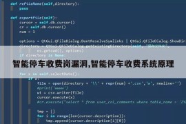 智能停车收费岗漏洞,智能停车收费系统原理