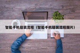 智能手机组装流程（智能手机组装流程图片）