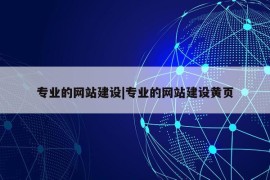 专业的网站建设|专业的网站建设黄页