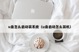 u盘怎么启动装系统（u盘启动怎么装机）