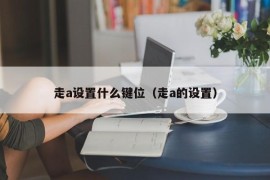 走a设置什么键位（走a的设置）