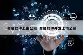 金融软件上市公司_金融软件开发上市公司