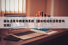 丽水违章车辆查询系统（丽水机动车违章查询官网）