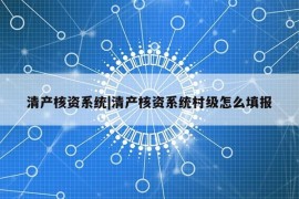 清产核资系统|清产核资系统村级怎么填报