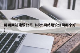 郴州网站建设公司（郴州网站建设公司哪个好）