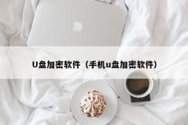 U盘加密软件（手机u盘加密软件）