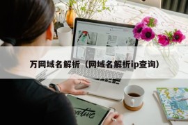 万网域名解析（网域名解析ip查询）