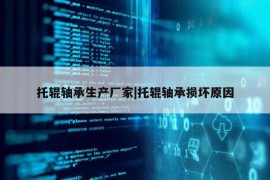 托辊轴承生产厂家|托辊轴承损坏原因