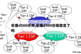 尼康d500评测,尼康d500价格稳定了吗