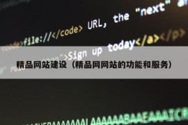 精品网站建设（精品网网站的功能和服务）