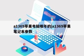 a1369苹果电脑哪年的|a1369苹果笔记本参数