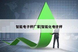 智能电子秤厂家|智能化电子秤