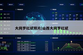 大同罗红斌照片|山西大同罗红斌