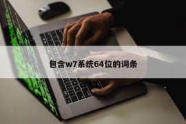 包含w7系统64位的词条