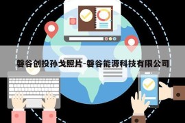 磐谷创投孙戈照片-磐谷能源科技有限公司