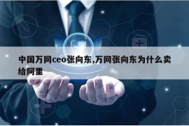 中国万网ceo张向东,万网张向东为什么卖给阿里