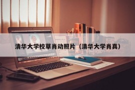 清华大学校草肖动照片（清华大学肖真）