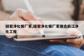 硅岩净化板厂家,硅岩净化板厂家推选前江净化工程