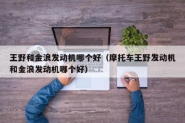 王野和金浪发动机哪个好（摩托车王野发动机和金浪发动机哪个好）