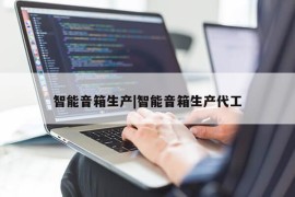 智能音箱生产|智能音箱生产代工