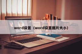 word设置（word设置图片大小）