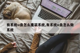 有系统u盘怎么重装系统,有系统u盘怎么做系统