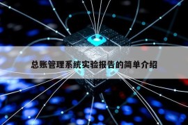 总账管理系统实验报告的简单介绍