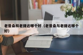 老普桑和老捷达哪个好（老普桑与老捷达哪个好）