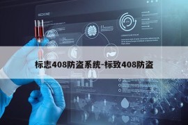 标志408防盗系统-标致408防盗