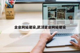 企业网站建设,武汉企业网站建设