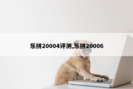 乐拼20004评测,乐拼20006