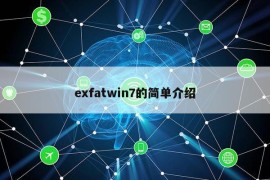 exfatwin7的简单介绍