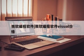 微软编程软件|微软编程软件visual价格