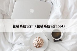 包装系统设计（包装系统设计ppt）