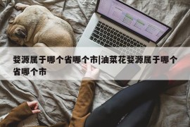 婺源属于哪个省哪个市|油菜花婺源属于哪个省哪个市