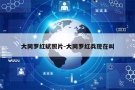 大同罗红斌照片-大同罗红兵现在叫