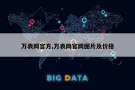 万表网官方,万表网官网图片及价格