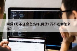 网贷1万不还会怎么样,网贷1万不还会怎么样?