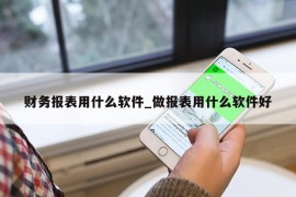 财务报表用什么软件_做报表用什么软件好