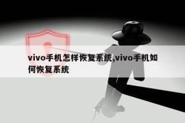 vivo手机怎样恢复系统,vivo手机如何恢复系统