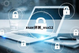 xsax评测_xsa12