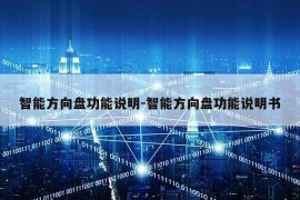 智能方向盘功能说明-智能方向盘功能说明书