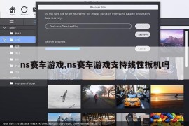 ns赛车游戏,ns赛车游戏支持线性扳机吗