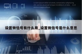 设置微信号有什么用_设置微信号是什么意思