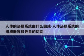 人体的泌尿系统由什么组成-人体泌尿系统的组成器官和各自的功能