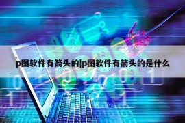 p图软件有箭头的|p图软件有箭头的是什么