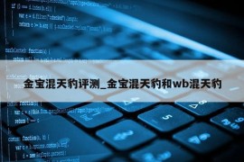 金宝混天豹评测_金宝混天豹和wb混天豹