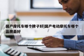 国产摩托车哪个牌子好|国产电动摩托车哪个品牌最好